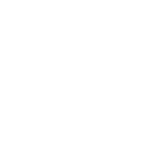 Logo CDP Consulting filigrane